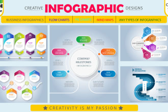 designs any kind of professional infographics within 24hrs
