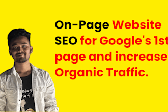 do professional onpage SEO to increase organic traffic