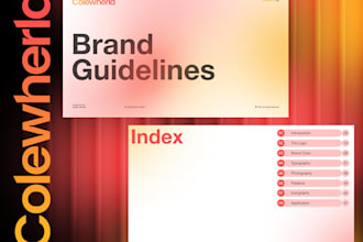 design logo and brand guidelines, corporate identity, brand book also rebranding