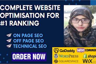 seo optimize and boost up your website for ranking