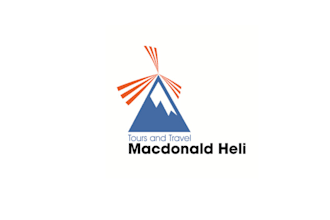 design pretty cool heli tours company logo