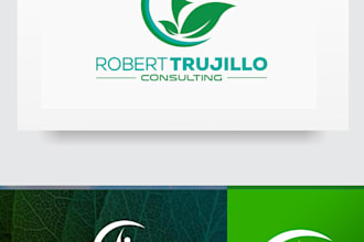 provided professional meaningful consulting logo design