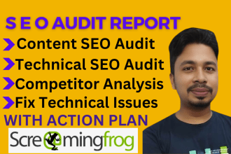 do indepth screaming frog technical SEO audit report with analysis