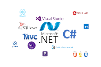 do bug fixing in the dotnet application