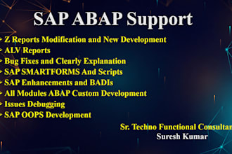do sap abap support and development