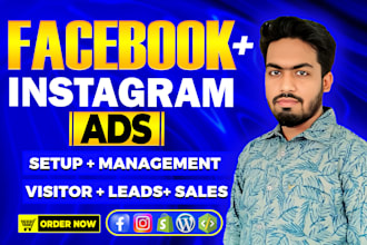 setup meta ads, facebook ads campaign for leads and sales, instagram marketing
