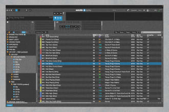 organize your music library