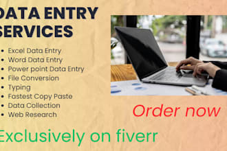 do data entry online, offline pdf to word, typing, excel
