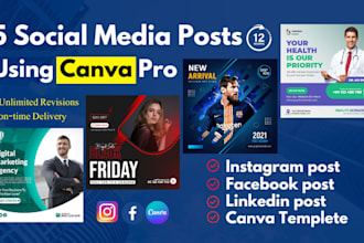 desgin 5 social media posts using canva templete, logo, lead magnet, flyer