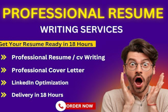 deliver 18 hour professional resume and tech cv writing