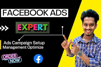 facebook ads manager ads campaign setup for sales and leads