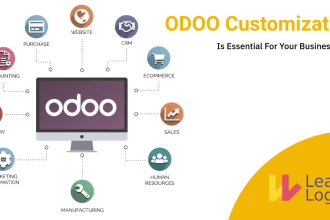 develop or customize odoo modules for your needs