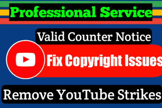 remove copyright violations, copyright strike and send counter notice