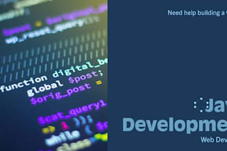 build website and website development