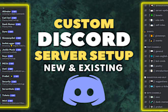 setup best custom discord server within 24 hours