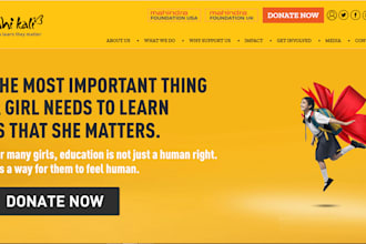 create a unique non profit website for nonprofit  ngo, charity, donation