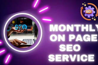 provide monthly on page SEO service for google ranking