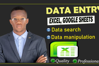 enter your data into excel or google sheets