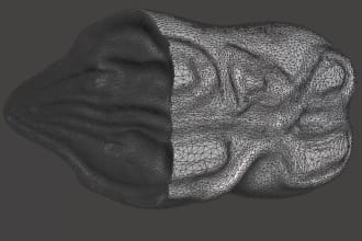 edit and repair stl obj