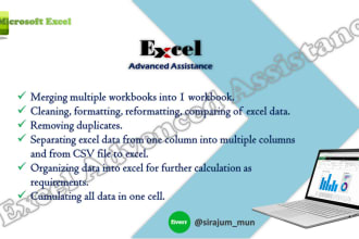 clean, organize and format large scale excel data