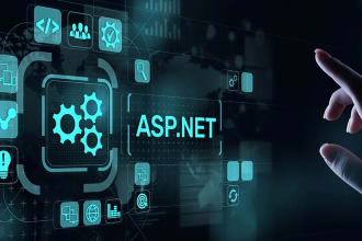 create new features and debug asp dotnet application