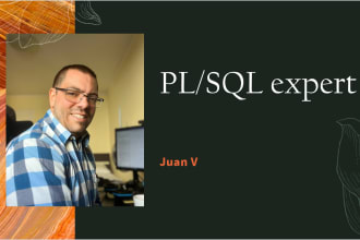 do plsql, views, triggers, plsql scripts, functions, procedures and packages