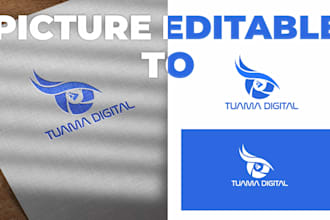 redraw your logo, sketch to vektor, 1 day finished