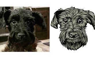 convert your sketches or image into vector