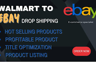 walmart to ebay drop shipping top hot selling listing