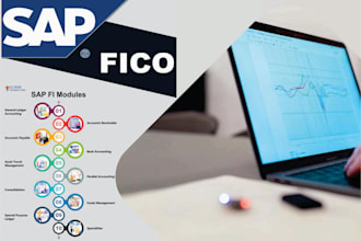 provide sap s4 hana fico training, consulting and support