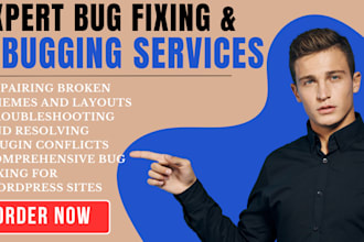 professional wordpress bug fixing  and troubleshooting