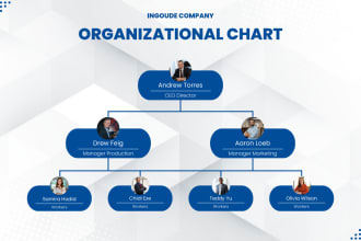 create a professional and effective organizational chart for you