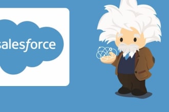 provide professional salesforce  customization, job support from the USA