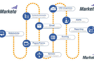 your marketo automation architect