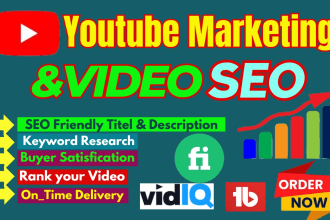 do organic youtube channel and video promotion