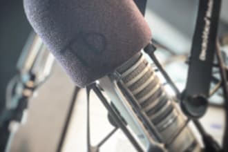 deliver quick and professional voice over service for less