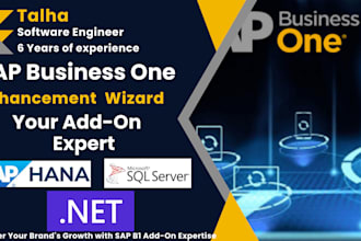 develop sap b1 addons wizard