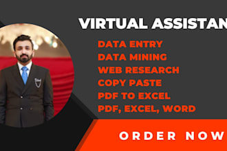 be your virtual assistant for data entry personal assistant