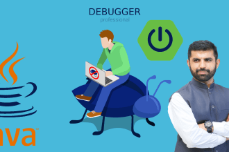 do anything java and spring boot related for you