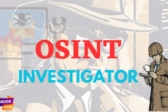 be your private investigator, background check,  osint expert any target object