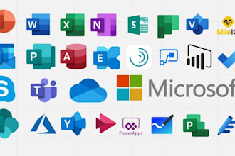 do  any task on microsoft office, excel, word, powerpoint