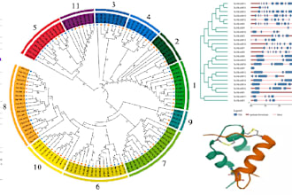 assist you in genome wide and bioinformatics analysis