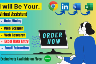 do data mining,data scraping,web research,email collection,excel data entry