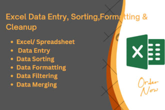 do excel data entry, data sorting, formatting, merging, and cleanup