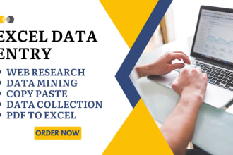 do excel data entry task, copy paste and file conversion