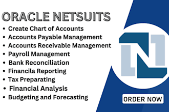 do netsuite bookkeeping and financial reporting for you