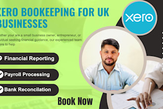 do professional xero accounting and bookkeeping support UK