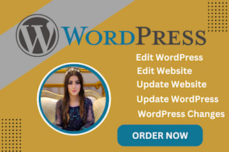 do changes, update or edit wordpress website
