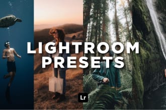 design a custom lightroom presets package for you and build store as well