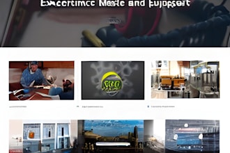 do wordpress developer and custom themes and plugins